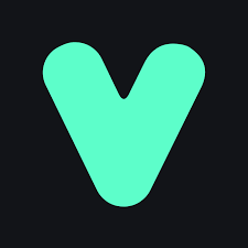 Vapi logo